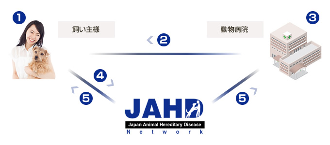 JAHD Network