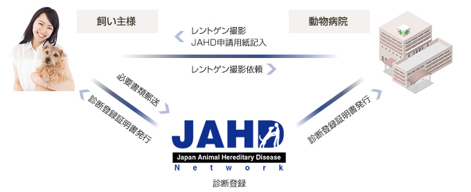 JAHD Network