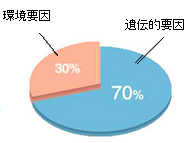 股関節形成不全の原因