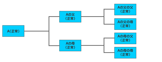 Aの血統図