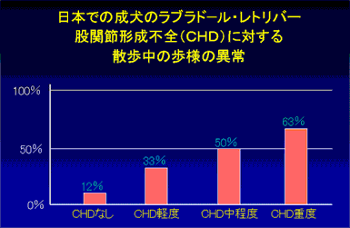 日本での成犬のラブラドール・レトリバー股関節形成不全（CHD）に対する散歩中の歩様の異常